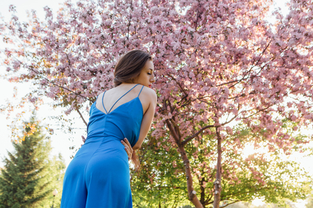 Back view of a beautiful young woman dressed in blue overalls standing near the blooming pink apple tree.の写真素材