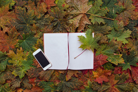 Open notebook and mobile phone on the maple leaves background.の写真素材