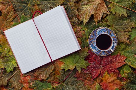 Open notebook and a cup of coffee on the maple leaves background. Top view.の写真素材