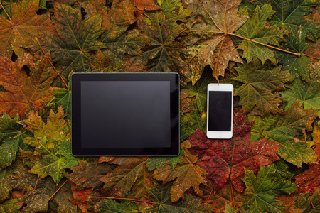 Tablet and mobile phone on the colorful maple leaves background.の写真素材