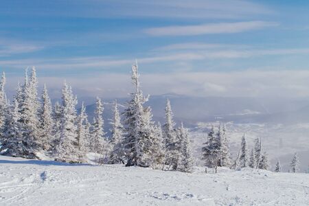 Beautiful winter mountain landscape with snow covered treesの写真素材