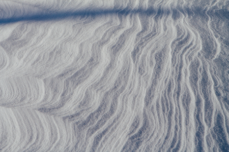 Snow texture in the forest on a sunny dayの写真素材