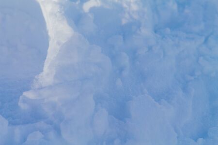 Snow texture in the forest in a shadeの写真素材