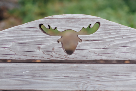 Decorative hole in a shape of elk head curved in wooden backgroundの写真素材