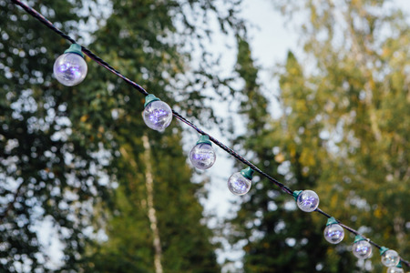 Decorative outdoor string lights hanging on tree in the garden at day time