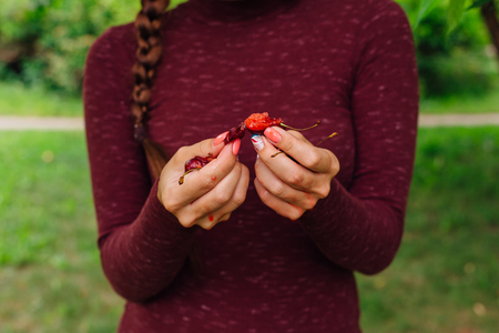 Beautiful young woman with long braid, pink glasses and cherry earrings pressing cherry in handsの写真素材