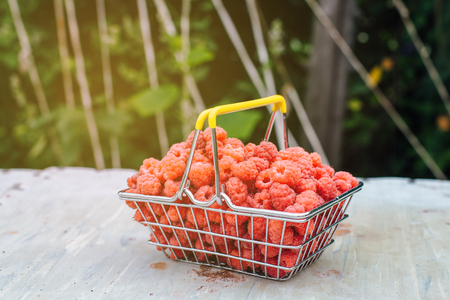 Mini shopping basket full of fresh red ripe raspberry on old grey vintage background in gardenの写真素材