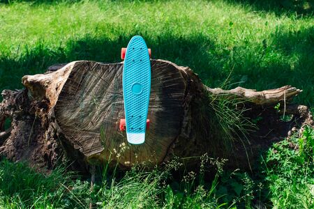 Blue penny board with pink wheels hanging on stumpの写真素材