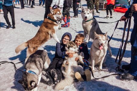 Sheregesh, Kemerovo region, Russia - April 13, 2019: Siberian Husky dogs looks around on the mountain ski snowy slope and contacting with children.のeditorial素材