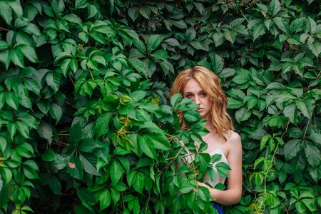 Portrait of a young beautiful woman, standing next to the wall of wild grape leaves.の写真素材