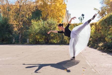 Woman ballerina in a white ballet skirt dancing in pointe shoes in a golden autumn park. Ballerina standing in beautiful ballet poseの写真素材