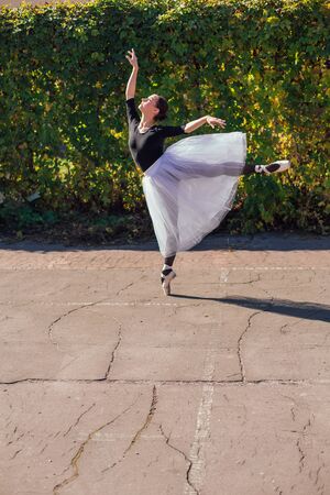 Woman ballerina in a white ballet skirt dancing in pointe shoes in a golden autumn park. Ballerina standing in beautiful ballet poseの写真素材