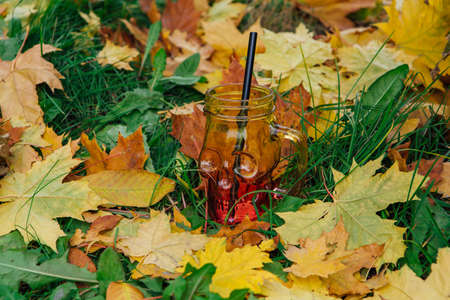 Empty skull shape glass on the fallen yellow leaves. Halloween concept.の写真素材