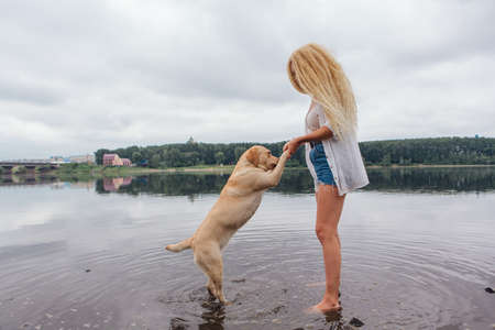 Young beautiful woman with blond curly hair playing with her labrador retriever dog in river.の写真素材