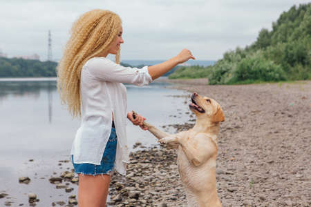 Young beautiful woman with blond curly hair trains her labrador retriever dog on the river shoreの写真素材