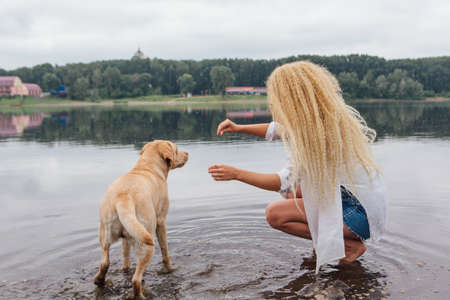 Young beautiful woman with blond curly hair playing with her labrador retriever dog in river.の写真素材