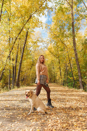 Young beautigul caucasian woman walking with her beloved labrador dog in autumn park with fallen golden leaves on the ground.の写真素材