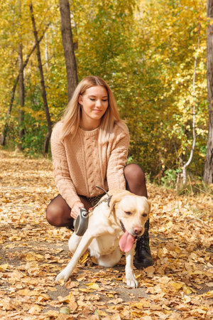 Young beautigul caucasian woman walking with her beloved labrador dog in autumn park with fallen golden leaves on the ground.の写真素材