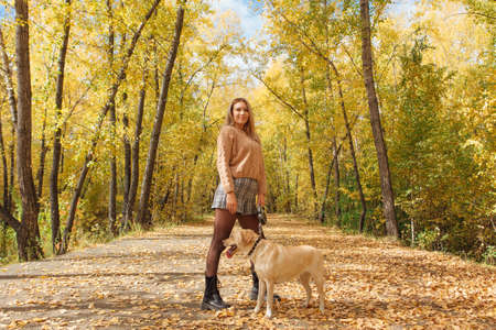 Young beautigul caucasian woman walking with her beloved labrador dog in autumn park with fallen golden leaves on the ground.の写真素材