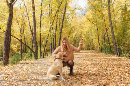 Young beautigul caucasian woman walking with her beloved labrador dog in autumn park with fallen golden leaves on the ground.の写真素材
