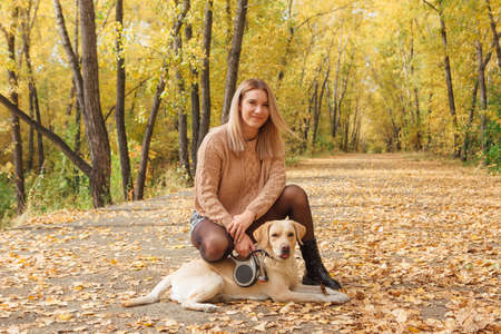Young beautigul caucasian woman walking with her beloved labrador dog in autumn park with fallen golden leaves on the ground.の写真素材
