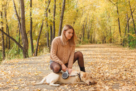 Young beautigul caucasian woman walking with her beloved labrador dog in autumn park with fallen golden leaves on the ground.の写真素材