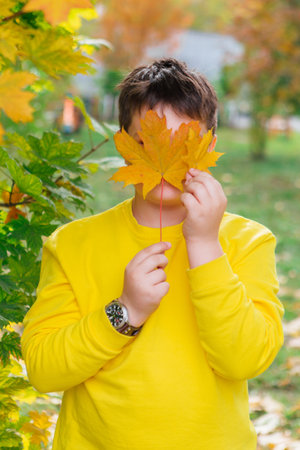 Cute boy dressed in a yellow longsleave holding maple leaves in his hands.の写真素材