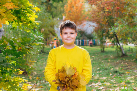 The child is holding a bouquet of maple leaves in his hands.の写真素材