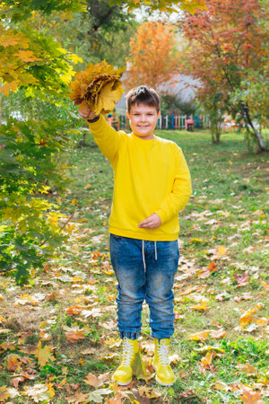 The child is holding a bouquet of maple leaves in his hands.の写真素材