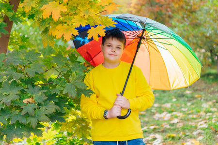 Cute boy under a colorful umbrella in autumn park.の写真素材