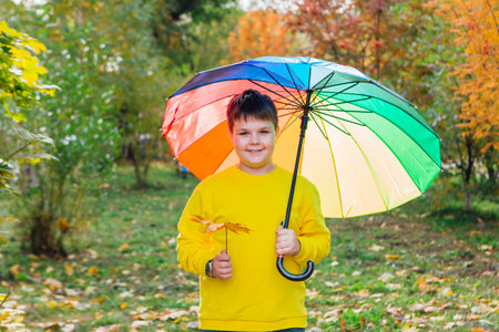 Cute boy dressed in yellow long sleeve standing under a colorful umbrella. A child in the autumn park posing with a rainbow umbrella.の写真素材