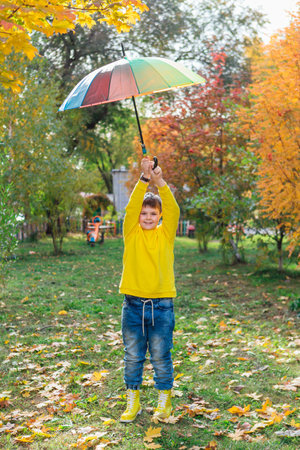 Cute boy under a colorful umbrella in autumn park.の写真素材