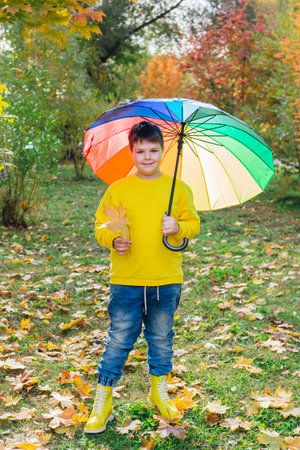 Full length portrait of a cute boy dressed in yellow long sleeve and yellow rubber boots standing under a colorful umbrella. A child in the autumn park posing with a rainbow umbrella.の写真素材