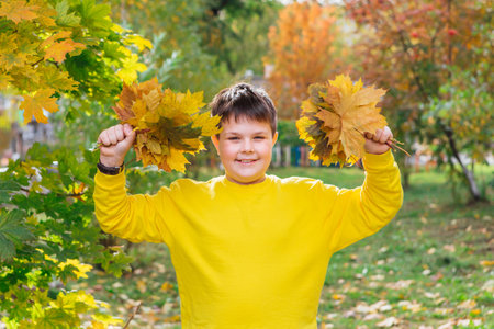 The child is holding a bouquet of maple leaves in his hands. A happy child, a little boy playing in a beautiful autumn park on a warm autumn day.の写真素材