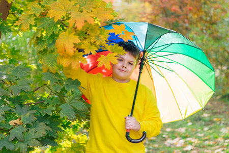 Cute boy dressed in yellow long sleeve standing under a colorful umbrella next to maple tree. A child in the autumn park posing with a rainbow umbrella.の写真素材