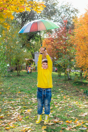 Full length portrait of a cute boy dressed in yellow long sleeve and yellow rubber boots standing under a colorful umbrella. A child in the autumn park posing with a rainbow umbrella.の写真素材
