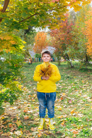 The child is holding a bouquet of maple leaves in his hands. A happy child, a little boy playing in a beautiful autumn park on a warm autumn day.の写真素材