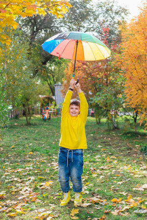 Full length portrait of a cute boy dressed in yellow long sleeve and yellow rubber boots standing under a colorful umbrella. A child in the autumn park posing with a rainbow umbrella.の写真素材