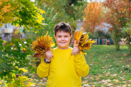 The child is holding a bouquet of maple leaves in his hands.の写真素材