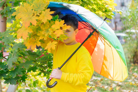 Cute boy under a colorful umbrella in autumn park.の写真素材