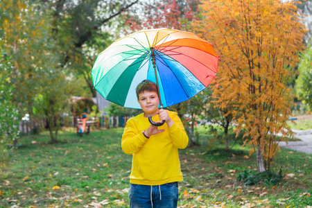 Cute boy under a colorful umbrella in autumn park.の写真素材