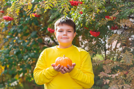 Cute boy dressed in yellow long sleeve holding small pumpkin.の写真素材