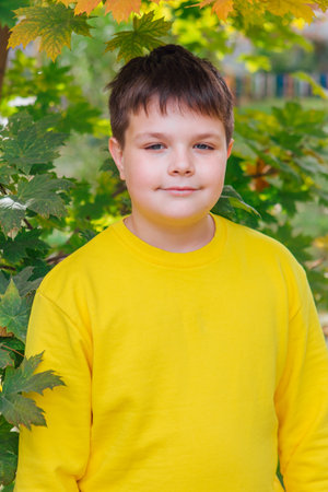 Portrait of a ten years old boy dressed in a yellow swaet shirt standing near the maple treeの写真素材