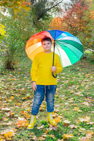 Full length portrait of a cute boy dressed in yellow long sleeve and yellow rubber boots standing under a colorful umbrella. A child in the autumn park posing with rainbow umbrella.の写真素材