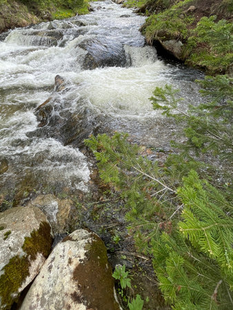 Fast mountain river with pure clear water running among large stonesの写真素材