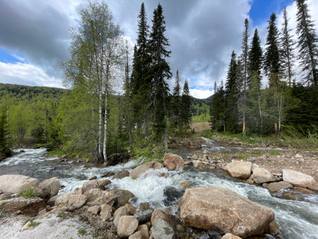 Fast mountain river running among large stonesの写真素材