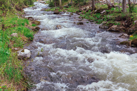 Fast mountain river running among large stonesの写真素材