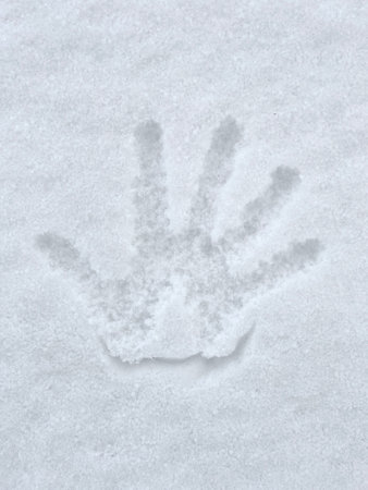 Palm print in fresh white snow, top viewの写真素材