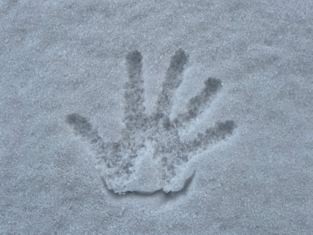 Palm print in fresh white snow, top viewの写真素材