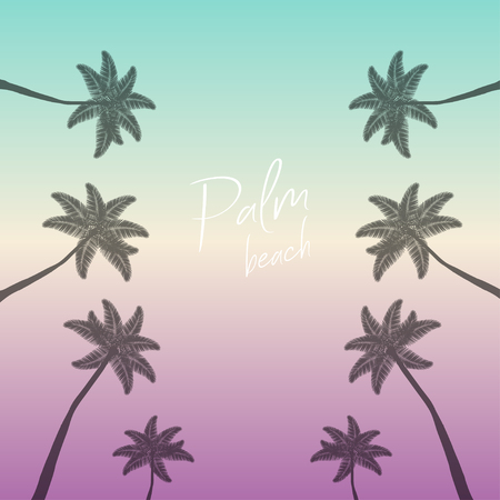Palm beach. Palms background. Palm trees with text Palm Beach on colorful background. Eps10のイラスト素材